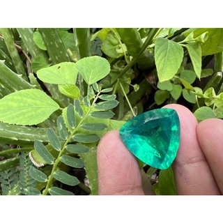 พลอยเทียมโทปาสเขียวรูปสามเหลี่ยมก้นแหลม 20x20 มิล 20 cts | Lab created Green Topaz Trillion shape 20x20 MM 20 cts