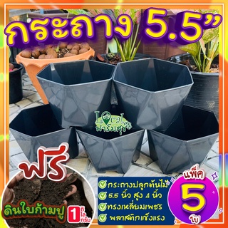 เซ็ต 5ใบ🌵กระถาง 5 นิ้ว แถมฟรี ดินใบก้ามปูหมัก 1กก. กระถางต้นไม้ กระถางพลาสติก แข็งแรงทนทาน