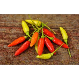 เมล็ดพันธุ์พริกทาบาสโก้ Tabasco Hot Pepper Seeds เมล็ดพันธุ์แท้คุณภาพดี นำเข้าจากต่างประเทศ