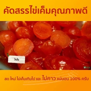 🥮 ขนมเปี๊ยะบางกรวย ขนมเปี๊ยะไข่เค็ม 1 ฟอง ไซส์ L 450 กรัม ขนมเปี๊ยะ สูตรดั้งเดิม