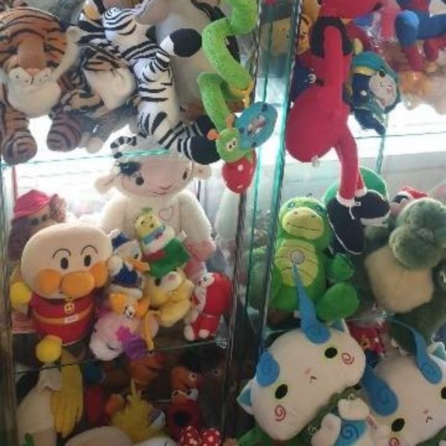 สินค้า live สด สำหรับลูกค้ารับใน live