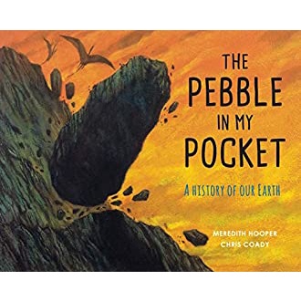 The Pebble in My Pocket : A History of Our Earth สั่งเลย!! หนังสือภาษาอังกฤษมือ1 (New)