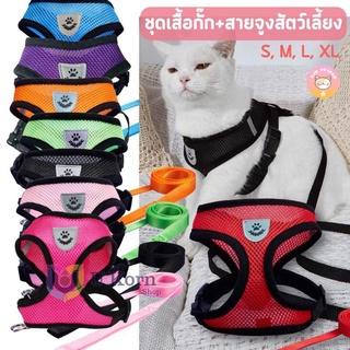 สายจุงสุนัข เชือกแมว สายจูง สุนัข เชือกล่ามแมว🐈 สายจูงแมว สายจูงสุนัข สายจูงสุนัขเล็ก🦊เชือกจูง สุนัข uk99