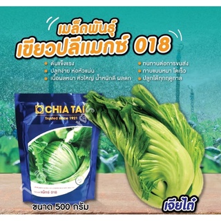 เมล็ดพันธุ์เขียวผักกาดเขียวปลีแมกซ์ 018 (เจียไต๋) ขนาด 500 กรัม