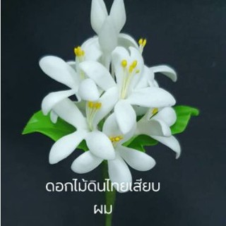 ปิ่นปักผมดอกปีบ ดอกไม้ดินไทย