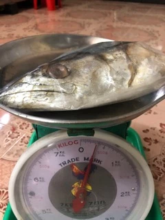 หัวปลาอินทรีย์เค็มหอม หัวใหญ่ ๆ ถูกๆ ขอปรับราคาขึ้นเป็น กิโล ละ 90 บ.นะคะ เนื่องจากปลามีราคาแพงขึ้นคะ