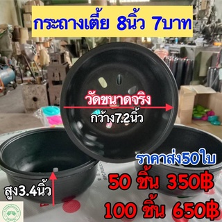 กระถางเตี้ย8นิ้ว กระถาง8นิ้วเตี้ย50ใบ กระถาง8นิ้วเตี้ย100ใบ กระถางราคาส่ง