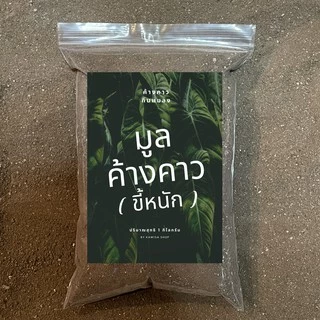 ค้างคาวทอง ปุ๋ยค้างคาว [ขี้หนัก] รอดทุกต้น แตกยอดสวยใบเขียว