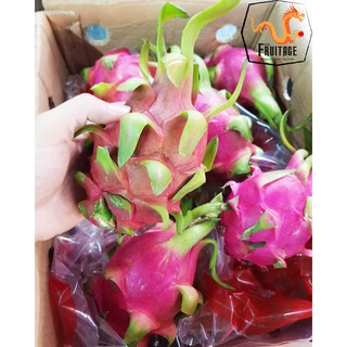 แก้วมังกร นำเข้าจากเวียดนามแท้ DRAGON FRUIT (4ลูก) (นำเข้า Vietnam) ~ลดพิเศษ~ สดใหม่ แคลอรี่ต่ำ แก้วมังกรสีขาว