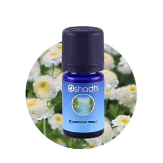 Oshadhi Chamomile roman Essential Oil น้ำมันหอมระเหย (3 ml)