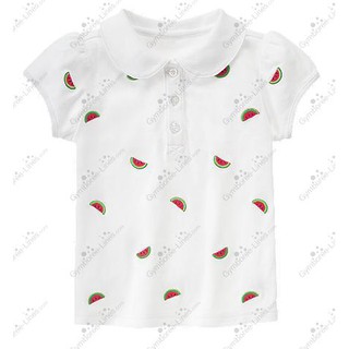 พร้อมส่ง Gymboree Watermelon Polo Shirt ไซส์ 7T(สินค้านำเข้าจาก USA)