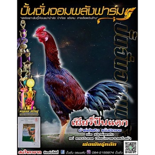 ✅ราคาพิเศษ⭐แชมป์ 1,100,000บาท🏆ทายาทเยียร์รถถังหนุ่มโรงหมี่ไข่เชื้อไก่ชนสายพันธุ์เงินล้านสำหรับฟัก ไข่เก็บสดภายใน1-2วัน