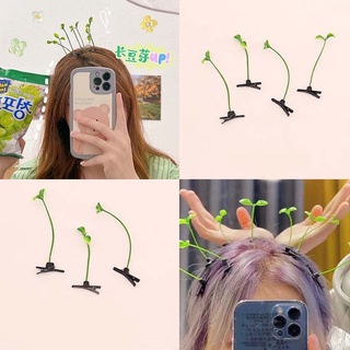 กิ๊บถั่วงอก พร้อมส่ง