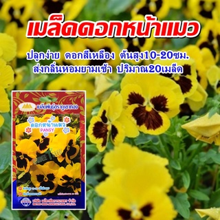 เมล็ดดอกหน้าแมว สีเหลือง PANSY (20 เมล็ดโดยประมาณ) เมล็ดพันธุ์ เมล็ดพันธุ์ผัก เมล็ดพันธุ์พืช ผักสวนครัว ตราภูเขาทอง