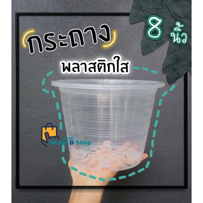 🪴กระถางต้นไม้🪴กระถางพลาสติกใส 8 นิ้ว🍀พร้อมส่ง💫