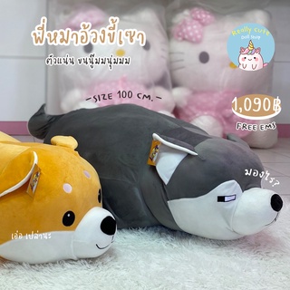 ReallyCute (พร้อมส่ง) ตุ๊กตาหมาไซบีเรียน ตุ๊กตาหมาชิบะ (YY)