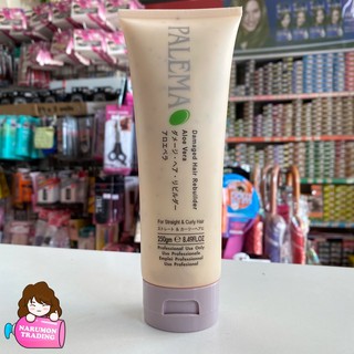 PALEMA Damaged Hair Rebuilder 250ml พร้อมส่ง