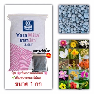 ปุ๋ยเพิ่มดอก สูตร 8-24-24 ยารามีร่า 1Kg  เร่งการออกดอก / ขยายผล