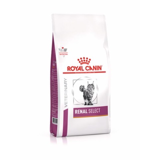 Royal Canin Renal select 2 Kg อาหารสำหรับแมวโรคไต Exp 11/23