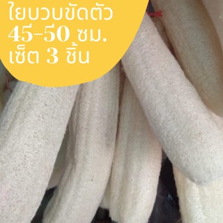 ใยบวบขัดตัว เซ็ต 3 ชิ้น ขนาดใหญ่ 40-45 cm ใยบวบหอมธรรมชาติ ใ…