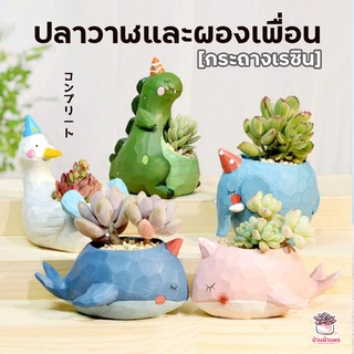 กระถางเรซิน ปลาวาฬและผองเพื่อน ไม้อวบน้ำ กระบองเพชร cactus&amp;succulent หลากหลายสายพันธุ์