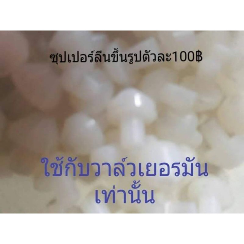 แกนวาล์วเยอรมันแต่งซุปเปอร์ลีน ราคา ถูกที่สุด ดีลบีเคเค แกลเลอรีภาพที่ 4