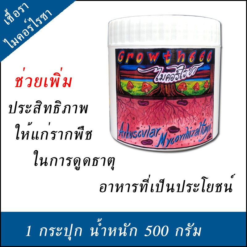 My Image 21
