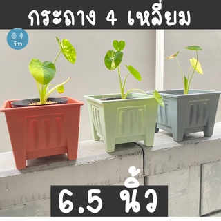 กระถางมินิมอล ทรงสี่เหลี่ยม กว้าง 6.5 นิ้ว สูง 5 นิ้ว [กระถางต้นไม้ โมเดิร์น minimal] กระถางพลาสติก กระถางสวย