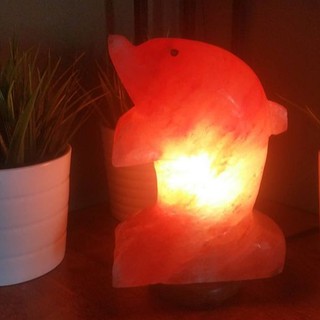 โคมไฟเกลือหิมาลายัน ทรงปลาโลมา Dolphin Himalayan Salt Lamp