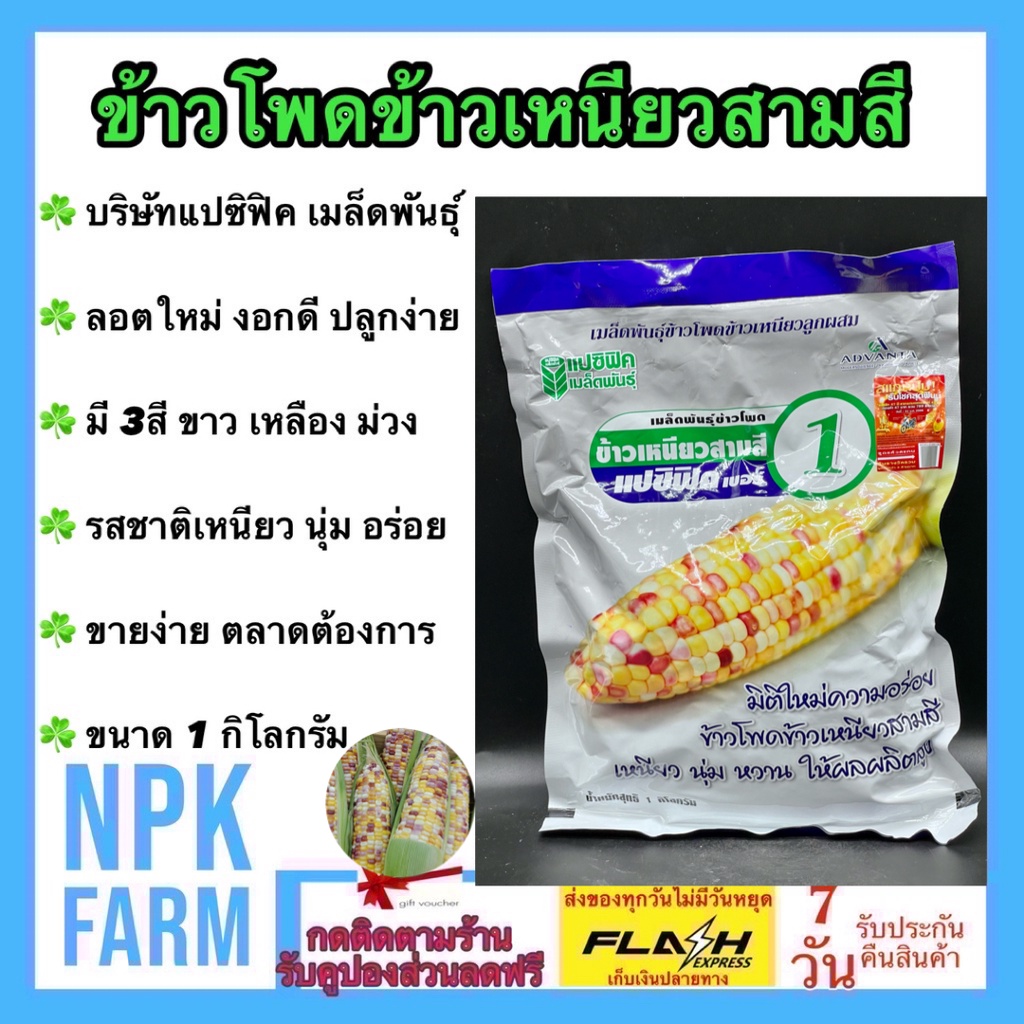 แปซิฟิค ข้าวโพดข้าวเหนียว สามสี หมดอายุ 15/09/2568 ขนาด 1 กิโลกรัม สี ขาว เหลือง ม่วง ข้าวโพดหวาน