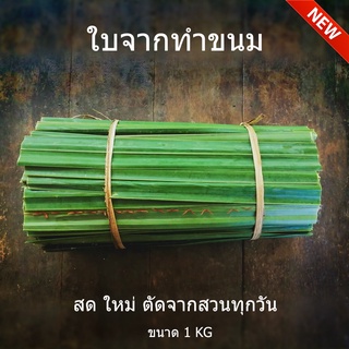 ใบจากสด organic ใบจากทำขนม ใบจากห่อขนม จากชุมชนในบาง