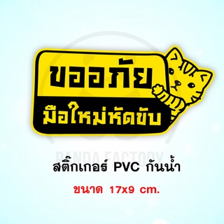 ขออภัยมือใหม่หัดขับ แมวสีเหลือง สติ๊กเกอร์กันน้ำ PVC อย่างดี ทนแดด ทนฝน ขออภัยมือใหม่หัดขับ มือใหม่หัดขับ ขออภัยหัดขับ