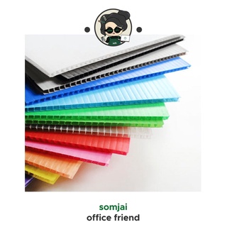 [ยกแพ็ค] Somjai Selected ฟิวเจอร์บอร์ด PP Board 10แผ่น หลายขนาด