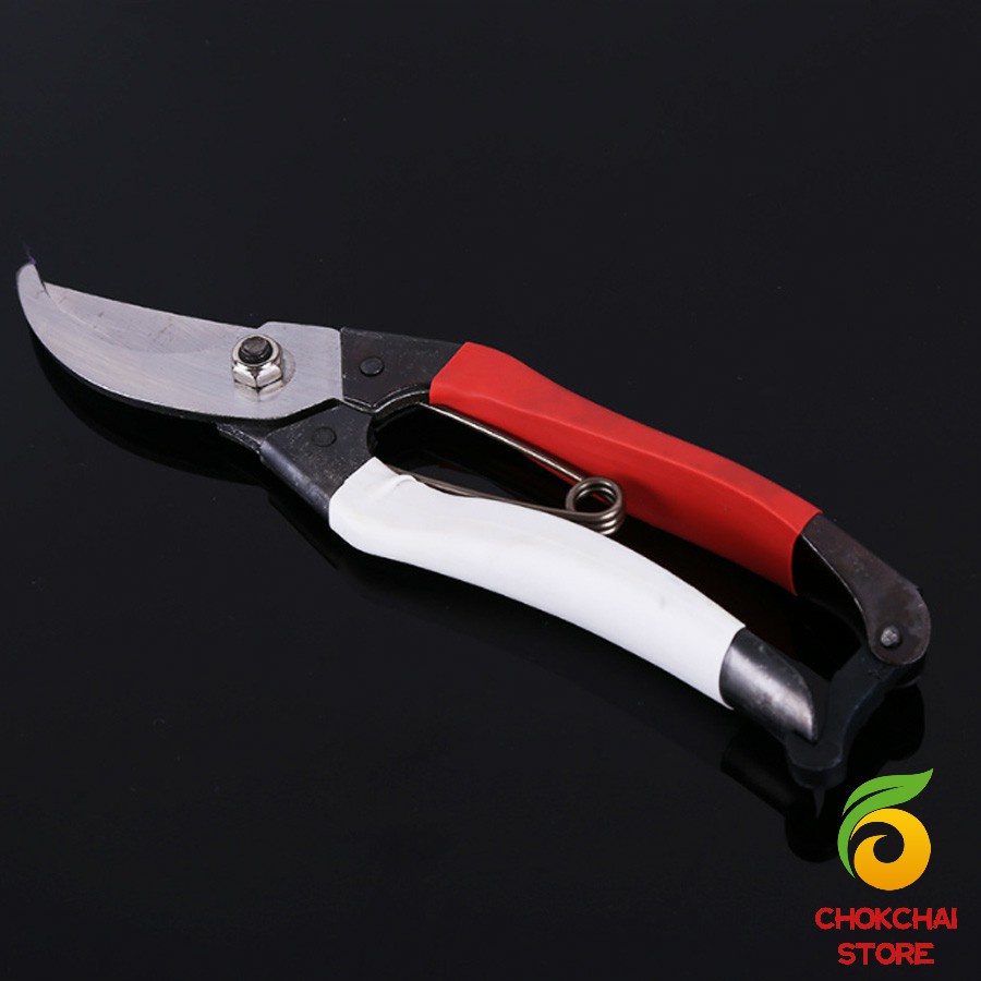 Chok กรรไกรตัดกิ่งไม้ กรรไกรตัดดอก อุปกรณ์ทำสวน Pruning shears