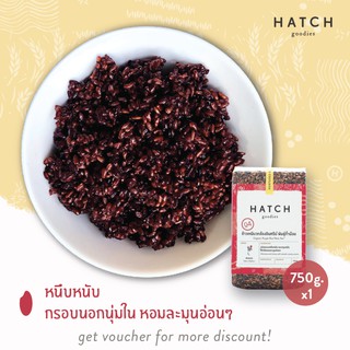 HATCH goodies ข้าวออร์แกนิค พันธุ์ก่ำน้อย Organic Purple Rice "Kam Noi" - Refill Vacuum Pack (750g)