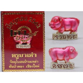 หมูจิ๋วมหาเฮง ครูบาเต่า