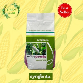 เมล็ดพันธุ์ ข้าวโพดข้าวเหนียวม่วงแต้ม Syngenta 1000g.