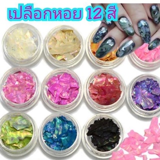 เปลือกหอย แต่งเล็บสวยๆ 12 สี ใน 1 เซต