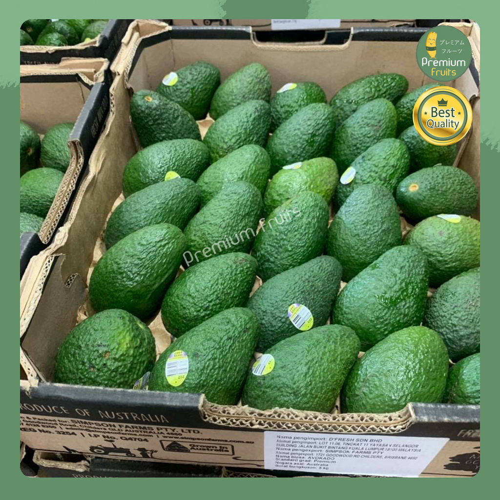 อะโวคาโด จำนวน 6 ลูก AVOCADO HASS AUSTRALIA  อะโวคาโด้ อะโวคาโดสด อโวคาโด้  อโวคาโด ผลไม้สด นำเข้า
