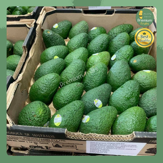 อะโวคาโด จำนวน 6 ลูก AVOCADO HASS AUSTRALIA  อะโวคาโด้ อะโวคาโดสด อโวคาโด้  อโวคาโด ผลไม้สด นำเข้า