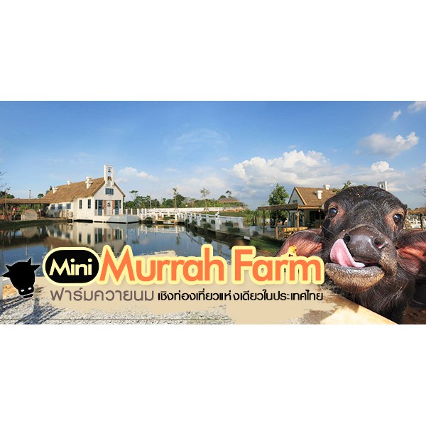 [ E-Ticket] มินิ มูร่าห์ ฟาร์ม