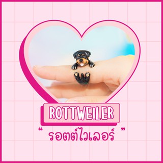 Ring / แหวน : Rottweiler / รอตต์ไวเลอร์