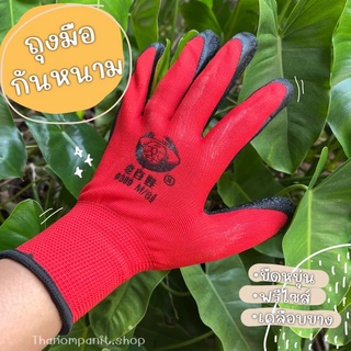 (สีแดง)ถุงมือยางพารา ถุงมือเกาหลี ตรา380 พร้อมส่ง!!