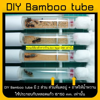 DIY Bamboo tube ใช้กับหลอด 16x150mm.