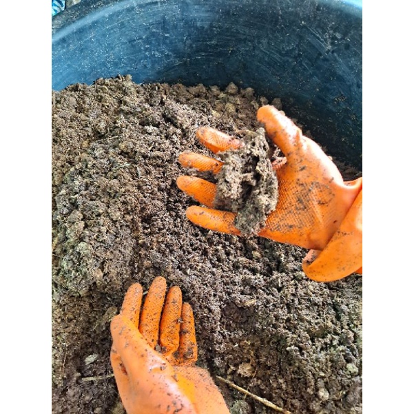 เบดดิ้งเลี้ยงไส้เดือน อาหารไส้เดือน ทำปุ๋ยอินทรีย์  เบดดิ้งทำจากมูลวัวนมจากฟาร์มวัว  ถุงละ 950กรัม - รูปที่ 2