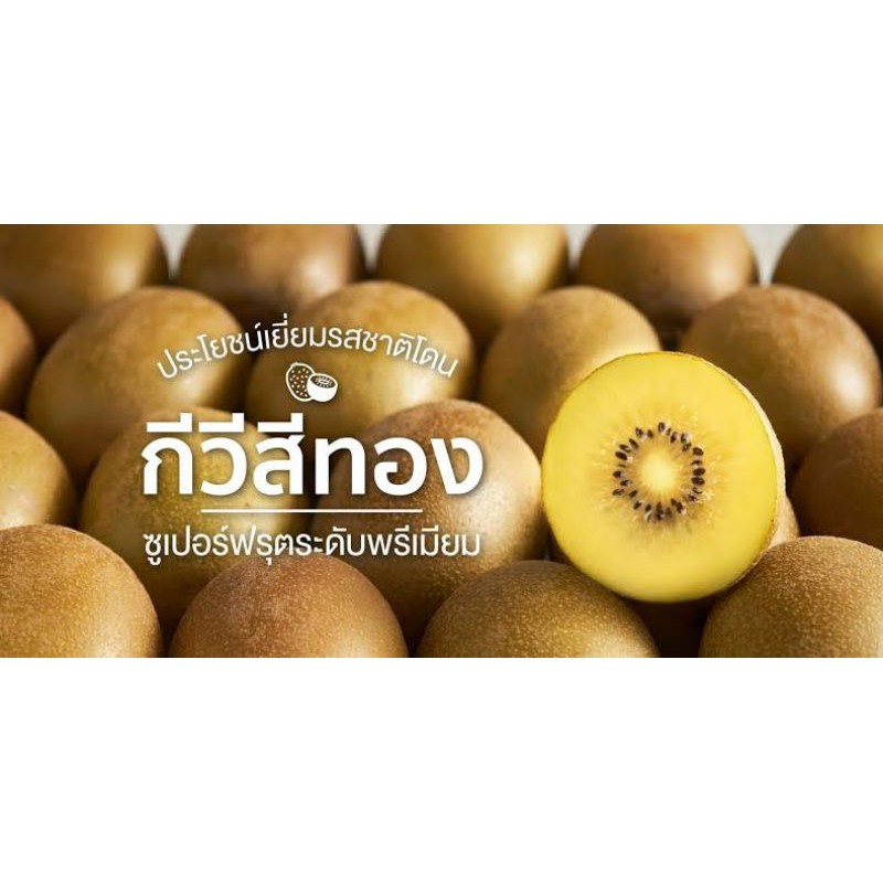 Zespri กีวีสีทอง นำเข้าจาก นิวซีแลนด์