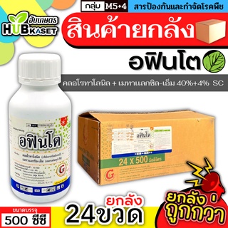 💥💥 สินค้ายกลัง 💥💥 อฟินโต 500ซีซี*24ขวด (คลอโรทาโลนิล+เมทาเเลกซิล-เอ็ม) ป้องกันโรคจุดสนิม ใบจุด ราน้ำค้าง แอนแทรคโนส