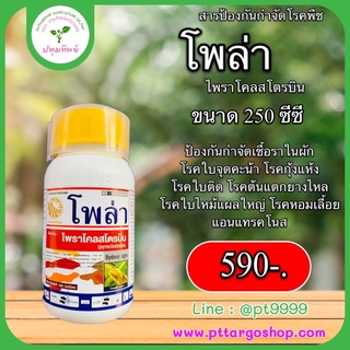 โพล่า ไพราโคลสโตรบิน 250-500 ซีซี โรคใบจุด โรคใบจุดสีม่วง โรคใบไหม้แผลใหญ่ โรคยางไหล โรคแอนแทรคโนส โรคกุ้งแห้งพริก