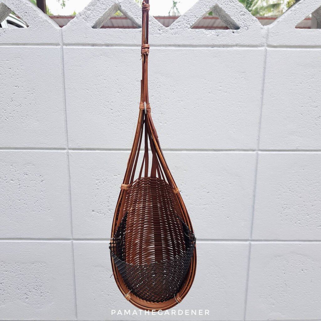 มุมมอง 2