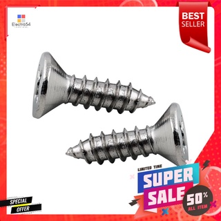 สกรูเกลียวปล่อย TF DEXZON 12X3/4 นิ้ว 25 ตัวSELF-TAPPING SCREWS TF DEXZON 12X3/4IN 25EA